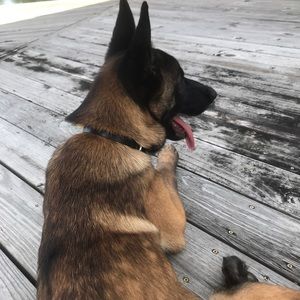 Meet your Posher, Marie